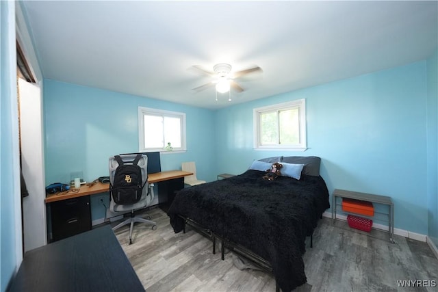 3467 Hickman Rd, Eden, NY 14057 - photo 14