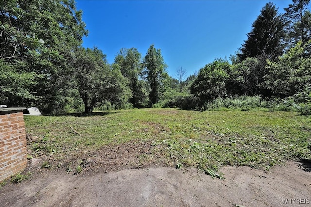3467 Hickman Rd, Eden, NY 14057 - photo 35