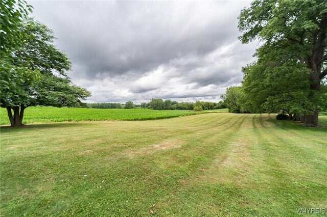 10502 Brookville Rd, Alexander, NY 14005 - photo 10