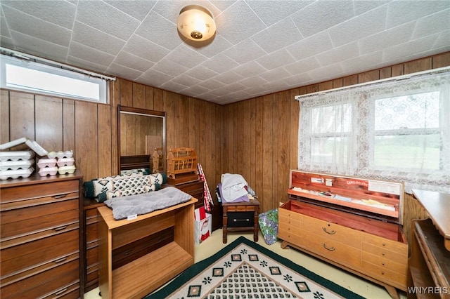 10502 Brookville Rd, Alexander, NY 14005 - photo 25