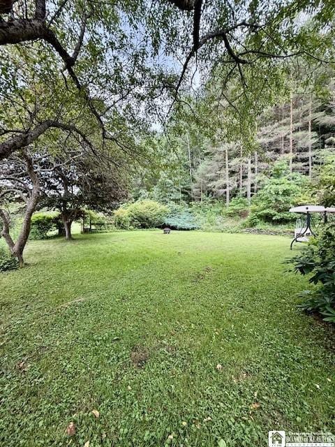 390 Bolivar Dr, Foster Town, PA 16701 - photo 33