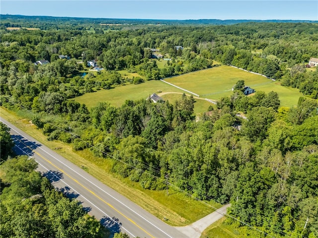 571 Mendon Ionia Rd, Mendon, NY 14472 - photo 49