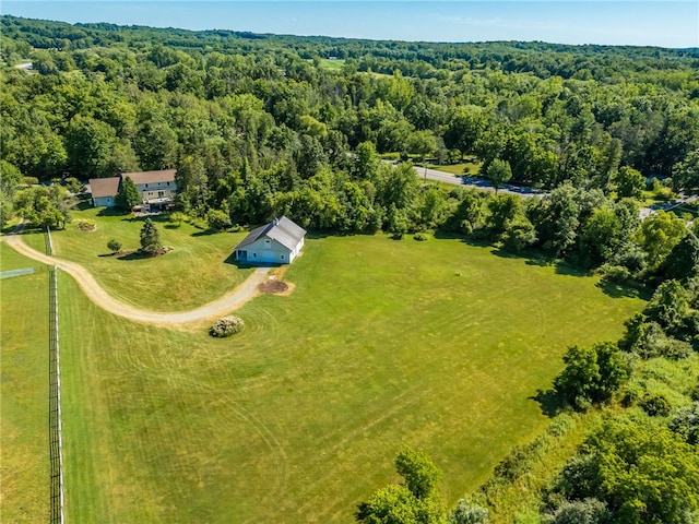571 Mendon Ionia Rd, Mendon, NY 14472 - photo 50