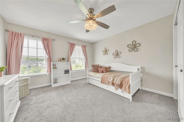 14 Crabapple Ln, Lancaster, NY 14086 - photo 19