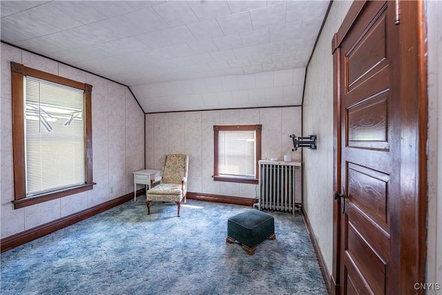 554 W Main St, Little Falls City, NY 13365 - photo 20