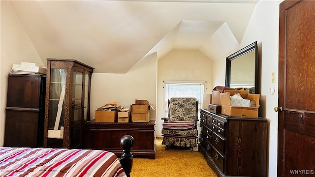 490 82nd St, Niagara Falls, NY 14304 - photo 29