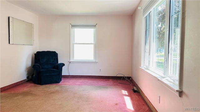 490 82nd St, Niagara Falls, NY 14304 - photo 14