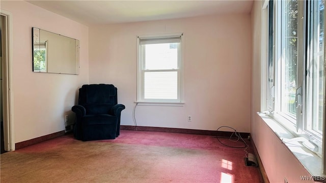 490 82nd St, Niagara Falls, NY 14304 - photo 15