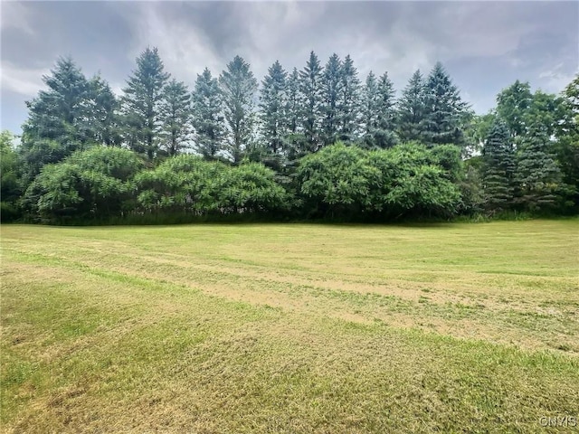 5373 Rowland Rd, Lafayette, NY 13084 - photo 4