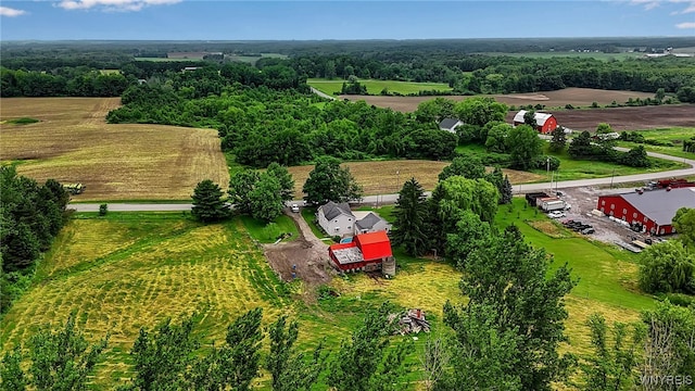3258 Stannard Rd, Alexander, NY 14005 - photo 50