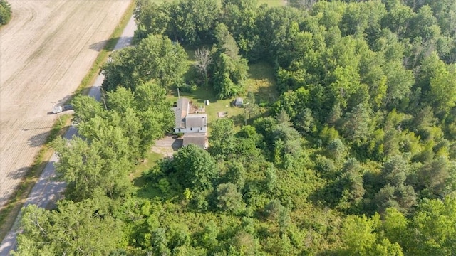 10396 Linwood Rd N, Pavilion, NY 14486 - photo 39