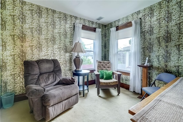 176 Crawford St, Rochester, NY 14620 - photo 43