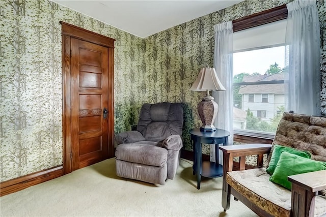 176 Crawford St, Rochester, NY 14620 - photo 44