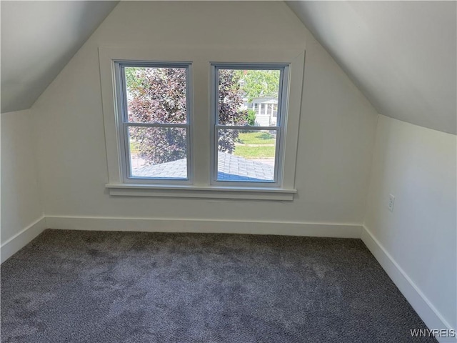 737 92nd St, Niagara Falls, NY 14304 - photo 12