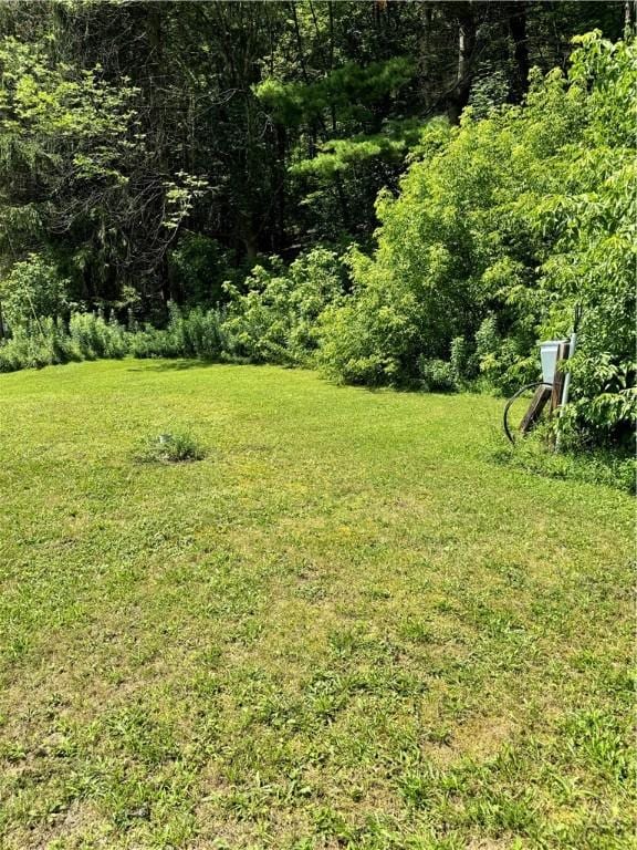 160 Halfway House Rd, Norwich, NY 13830 - photo 47
