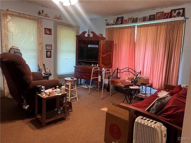70 Oswego St, Hannibal, NY 13074 - photo 11