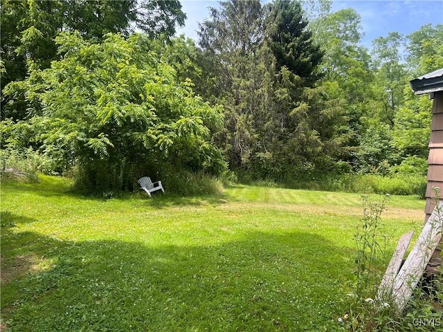 70 Oswego St, Hannibal, NY 13074 - photo 17