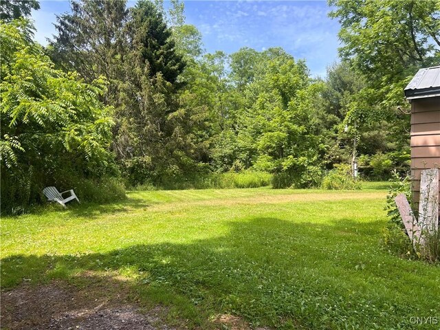70 Oswego St, Hannibal, NY 13074 - photo 18