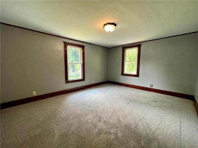 5617 State Route 14, Sodus, NY 14551 - photo 33