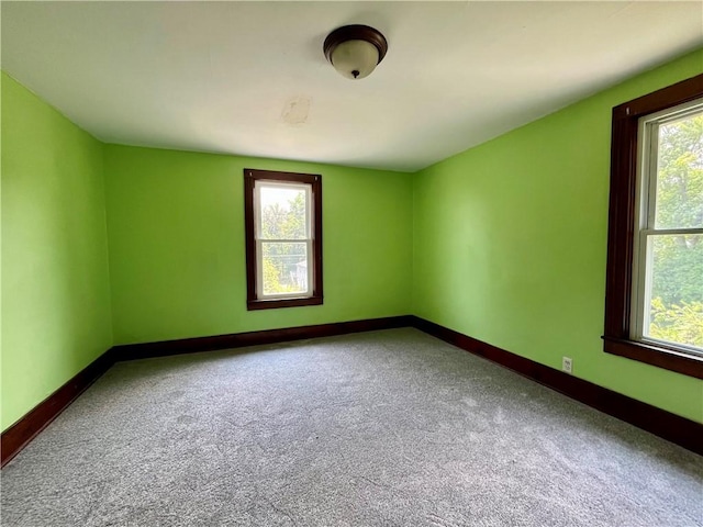 5617 State Route 14, Sodus, NY 14551 - photo 39