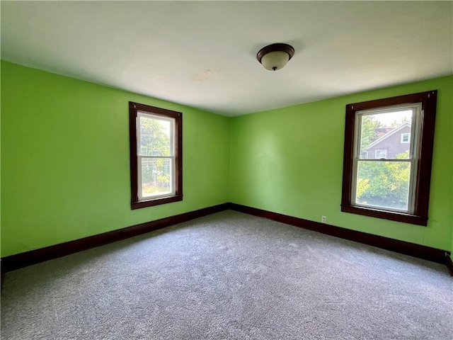 5617 State Route 14, Sodus, NY 14551 - photo 40
