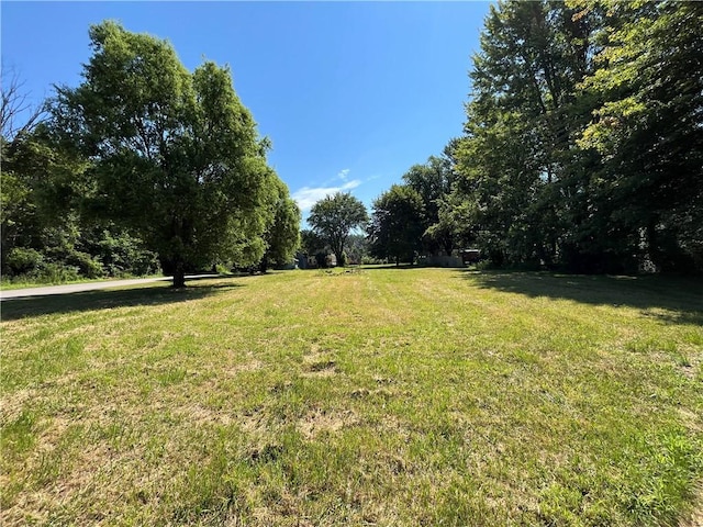 5617 State Route 14, Sodus, NY 14551 - photo 7