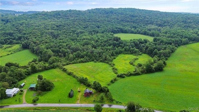 232 Lincklaen Center Rd, Lincklaen, NY 13052 - photo 28