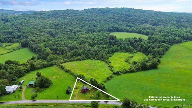 232 Lincklaen Center Rd, Lincklaen, NY 13052 - photo 29