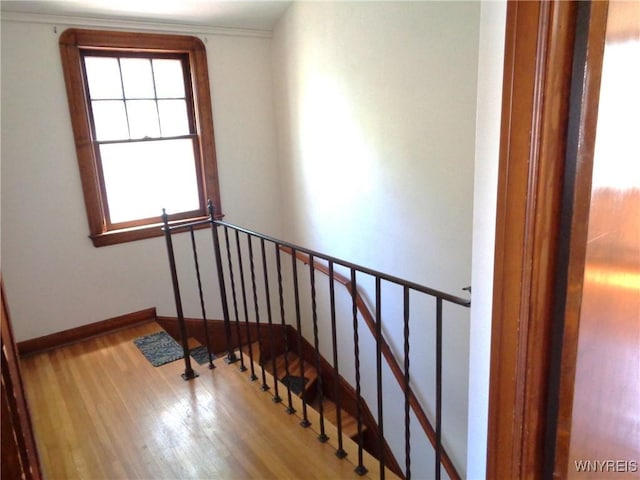 41 Vernon Dr, Cheektowaga, NY 14225 - photo 10