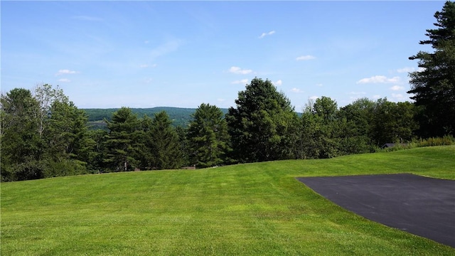 3 Henry Ct, Bainbridge, NY 13733 - photo 3
