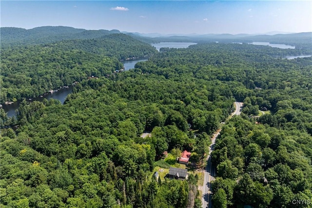 277 S Shore Rd, Webb, NY 13420 - photo 4