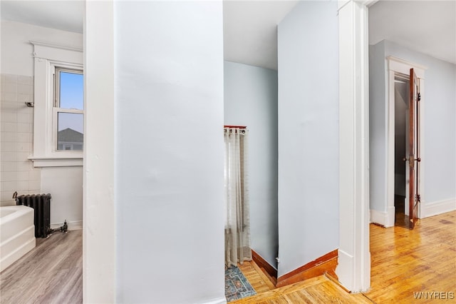 17 Elmer Ave, Buffalo, NY 14215 - photo 20