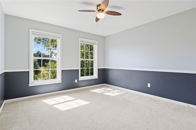 337 Stonefield Ln, Farmington, NY 14425 - photo 35