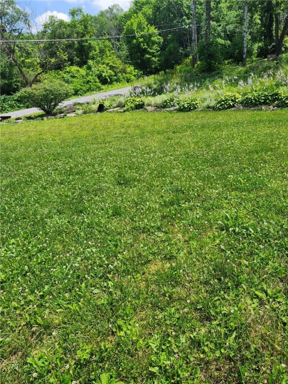 537 Bradley Hill Rd, Oxford, NY 13830 - photo 27