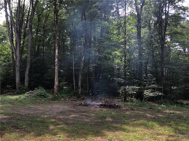 10079 Cherokee St, Remsen, NY 13438 - photo 15