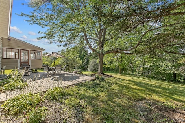 4880 Firethorn Cir, Manlius, NY 13104 - photo 34