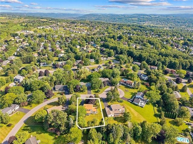 4880 Firethorn Cir, Manlius, NY 13104 - photo 41