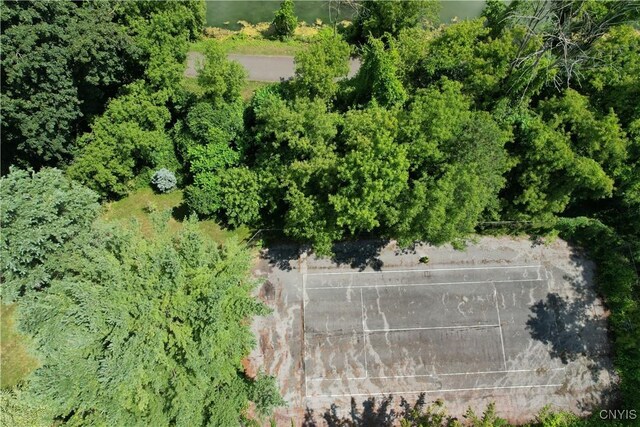 7546 Manlius Center Rd, Manlius, NY 13082 - photo 42
