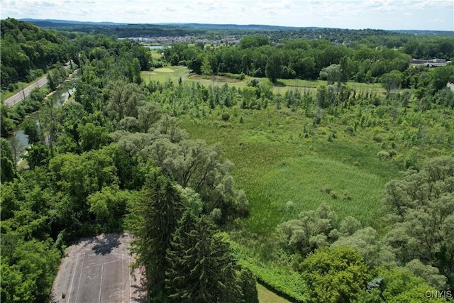 7546 Manlius Center Rd, Manlius, NY 13082 - photo 43