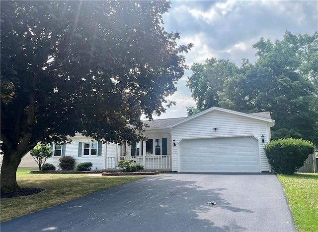67 Woodedge Ln, Greece, NY 14626 - photo 29
