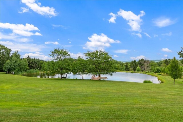 6001 Canadice Hill Rd, Canadice, NY 14560 - photo 14