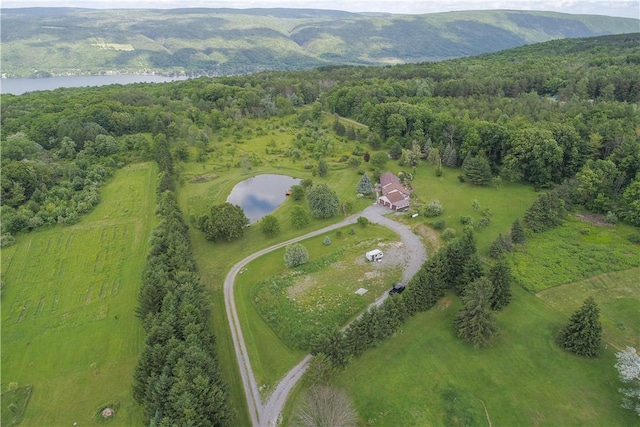 6001 Canadice Hill Rd, Canadice, NY 14560 - photo 1