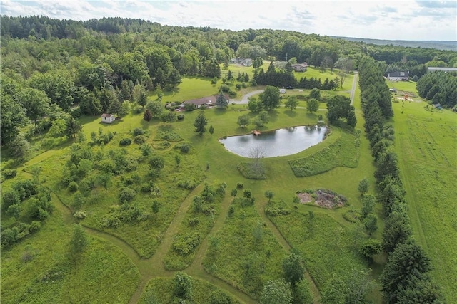 6001 Canadice Hill Rd, Canadice, NY 14560 - photo 2