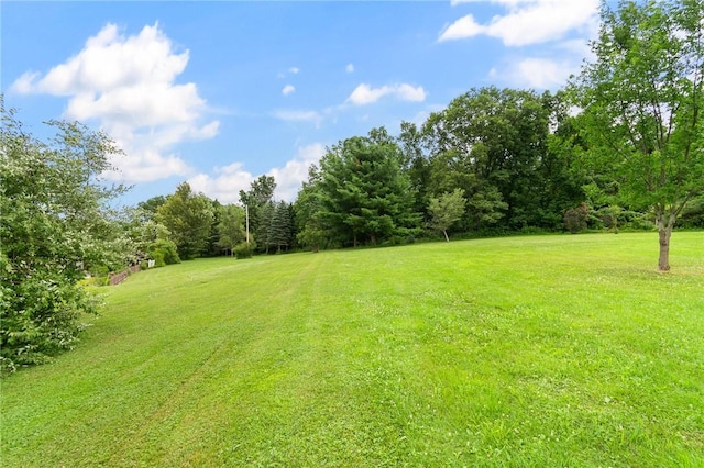 6001 Canadice Hill Rd, Canadice, NY 14560 - photo 8