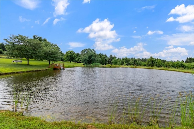 6001 Canadice Hill Rd, Canadice, NY 14560 - photo 12