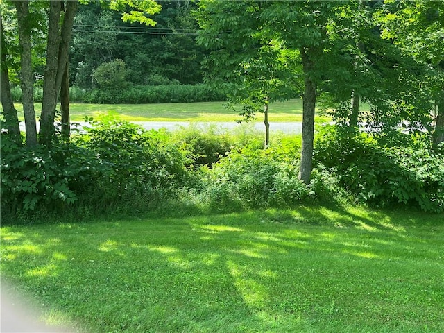 1798 Marvin Hollow Rd, Walton, NY 13856 - photo 2