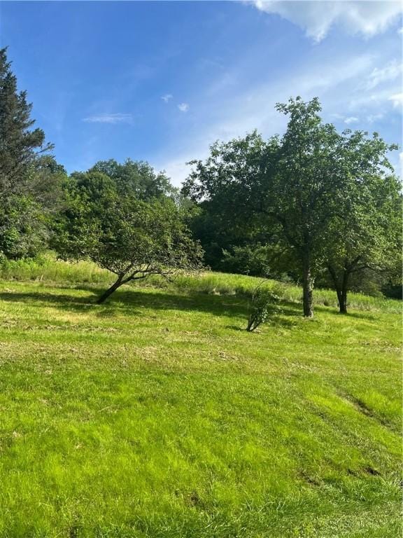 1798 Marvin Hollow Rd, Walton, NY 13856 - photo 5