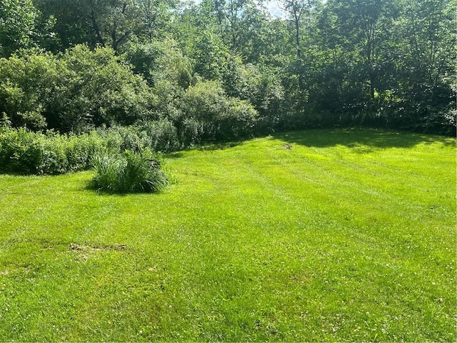 1798 Marvin Hollow Rd, Walton, NY 13856 - photo 8
