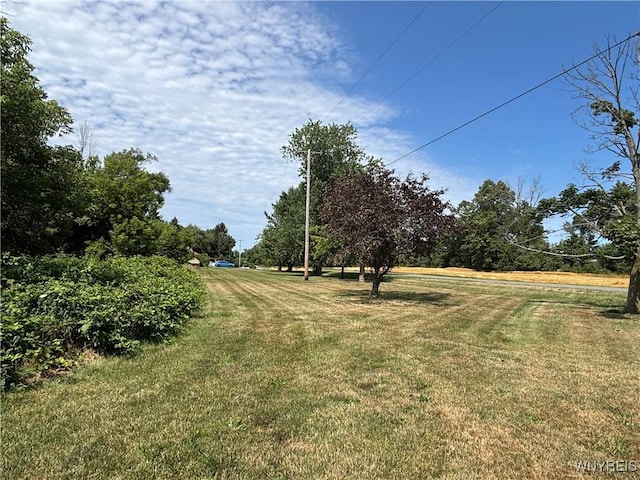 1038 Carmen Rd, Somerset, NY 14012 - photo 5