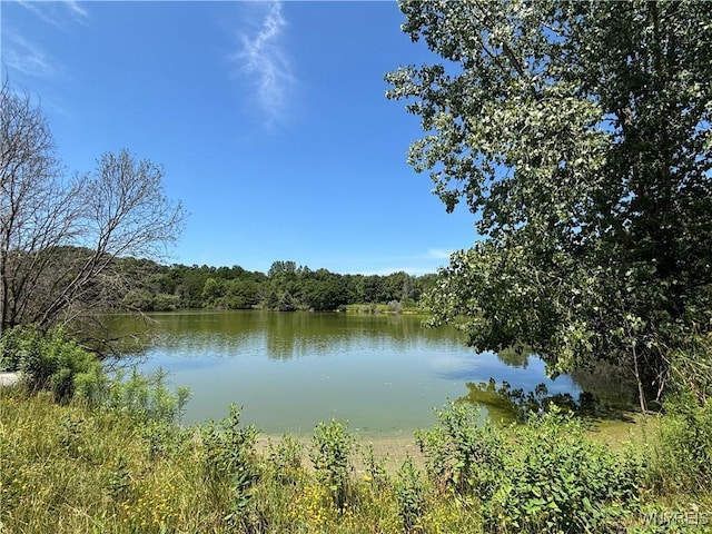 1038 Carmen Rd, Somerset, NY 14012 - photo 6